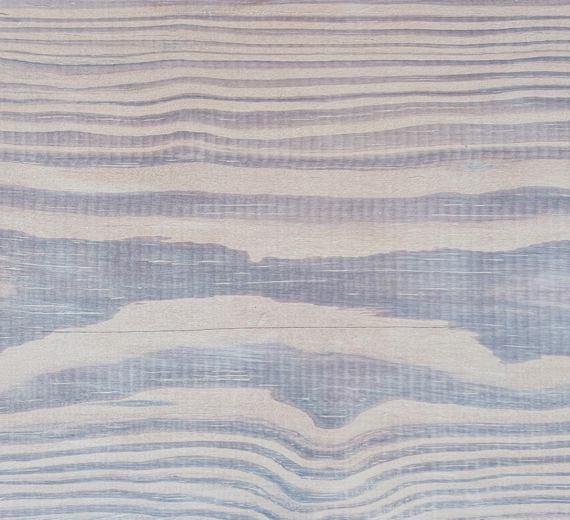 CASSIDY GANG GRAY No. 550T - THERMAL*1 COAT - SAMPLE